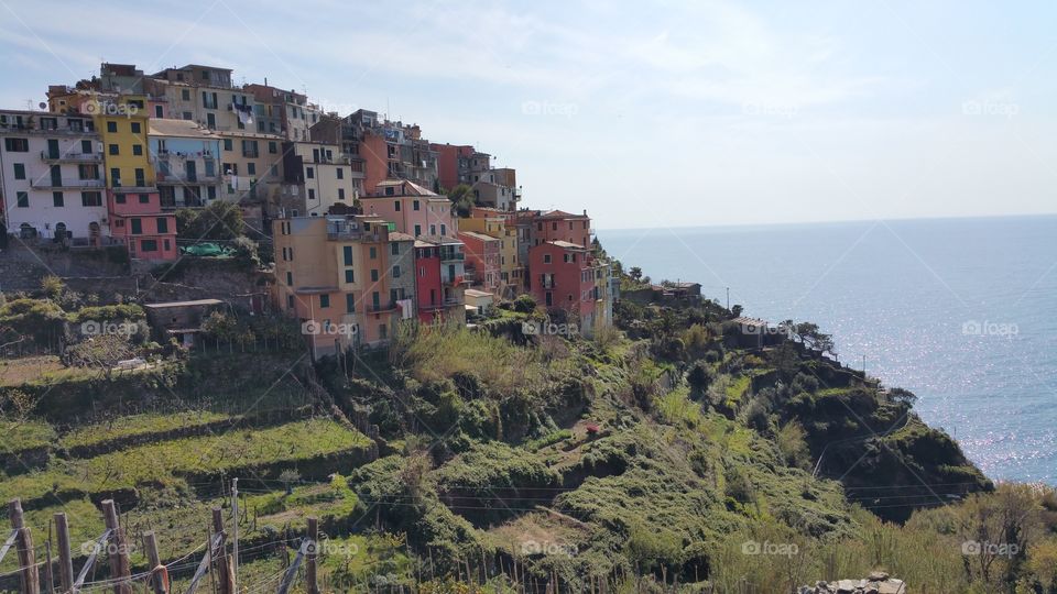 hills of cinque terre. traveling around italy.  cinque terre