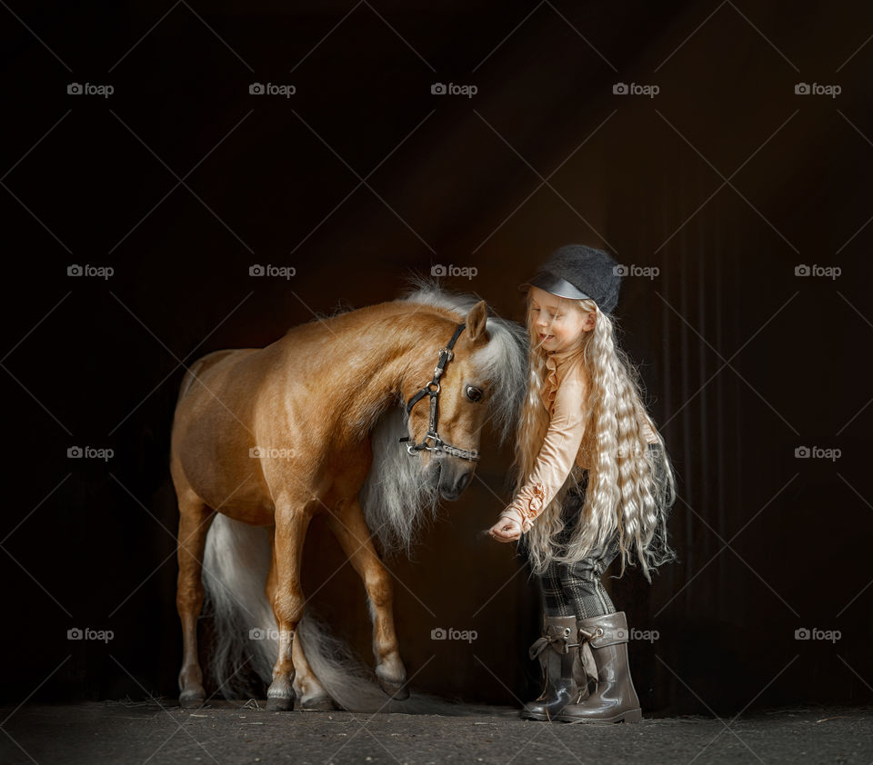 Little girl with American miniature horse 