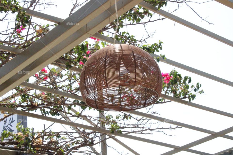 Spring season 🌸🌸🌸🌸🌸🌸🌸🌸🌸