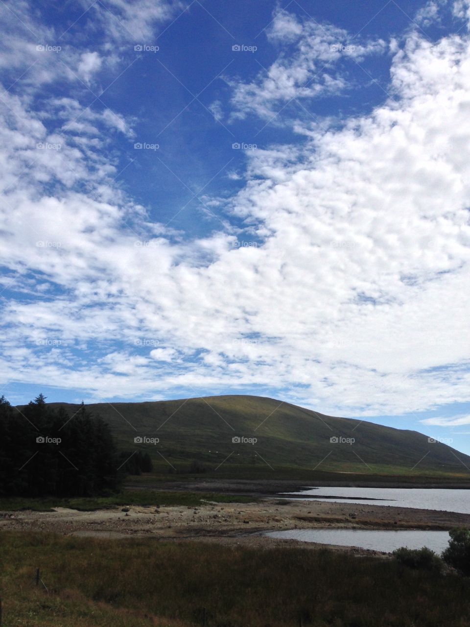 Summer Clouds