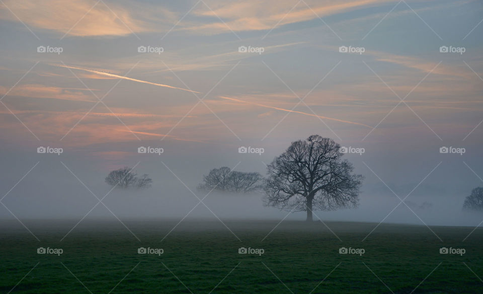 Misty golden hour. A rural landscape in England with mist during golden hour