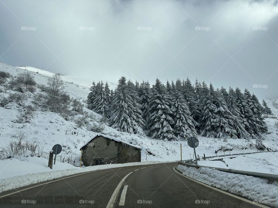 Naturaleza perfecta invierno 🥶