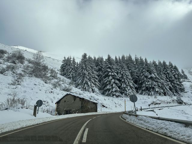 Naturaleza perfecta invierno 🥶
