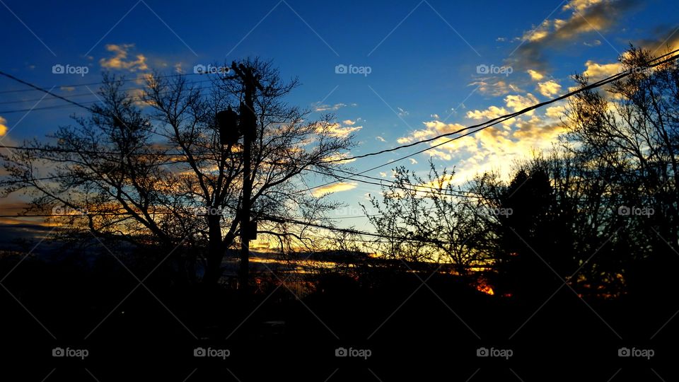 sunset clouds and trees in silhouette