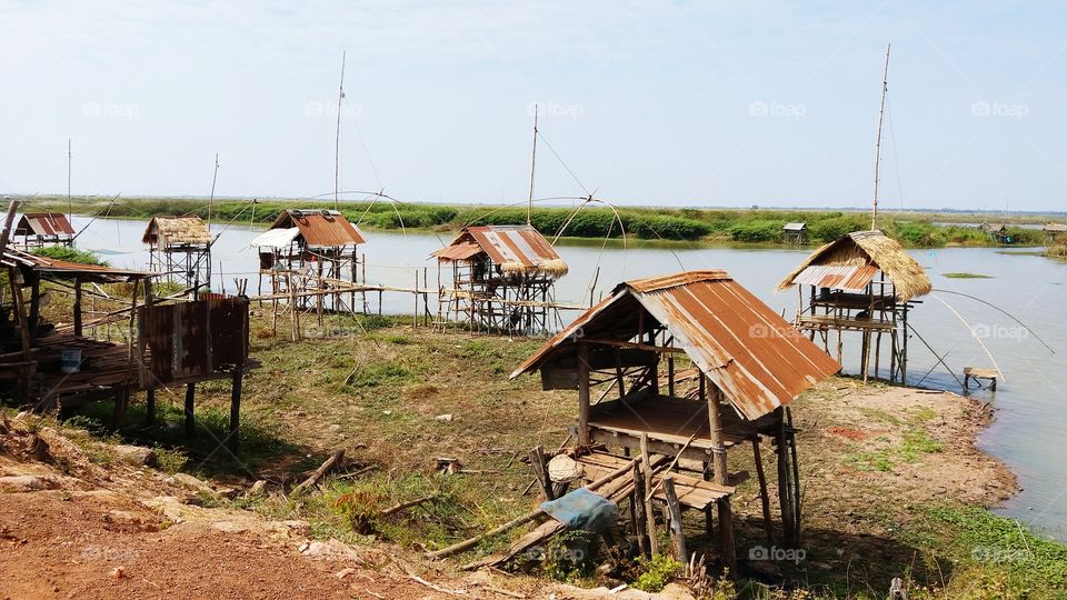 Grow a little cottage beside the swamp.