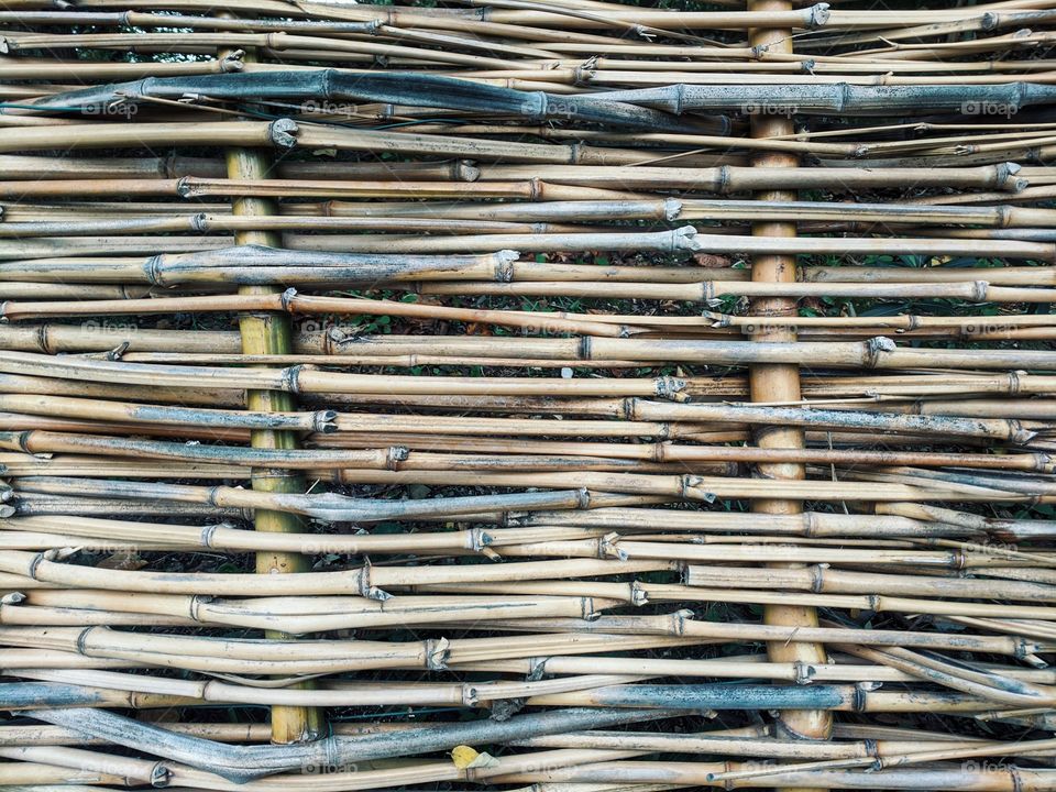 Background made of real green bamboo branches.