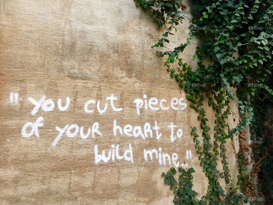 Love qoute written on poison ivy wall-You cut pieces of your heart to build mine