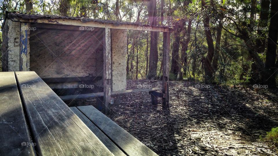 Conservation Hut at Wentworth Falls, Sydney, Australia. This area is part of the Blue Mountains National Park, located immediately outside of metropolitan Sydney.