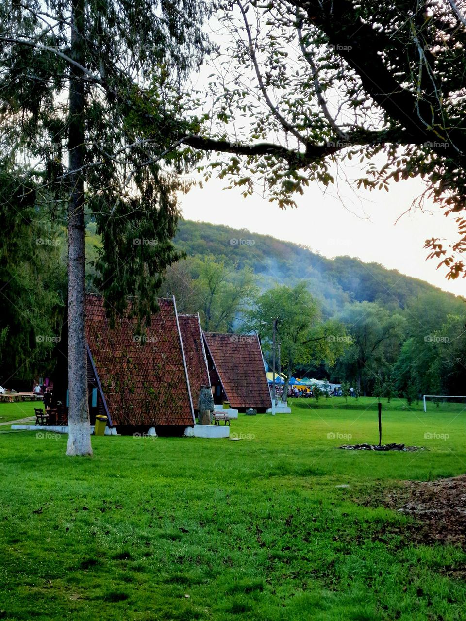 cabins in the middle of the forest