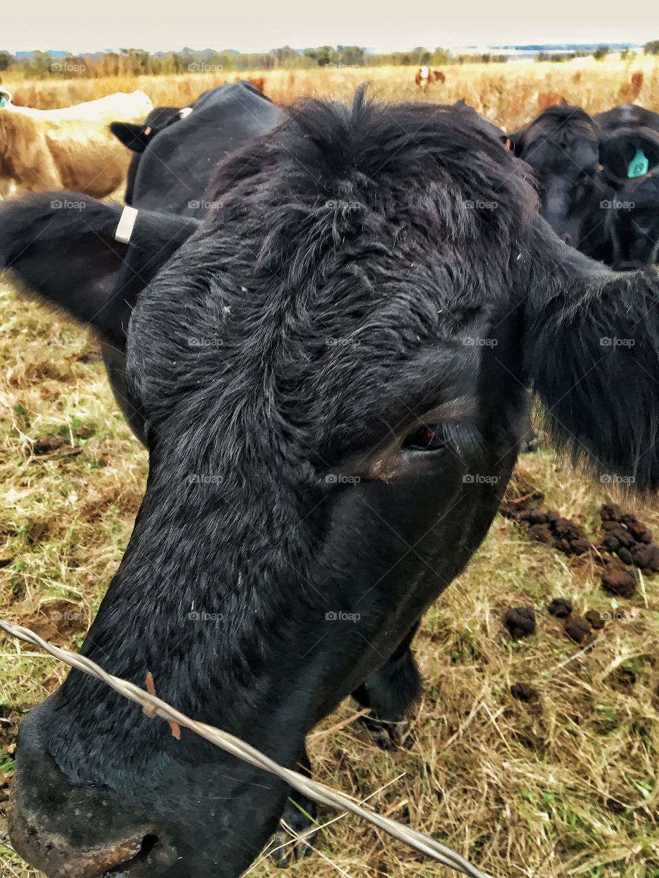 Hey ! whatca doing ?