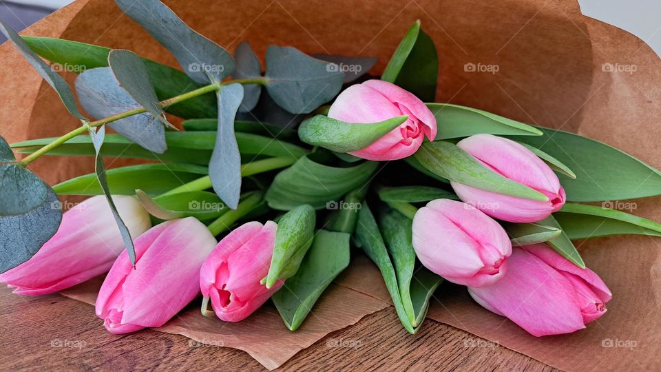pink tulips