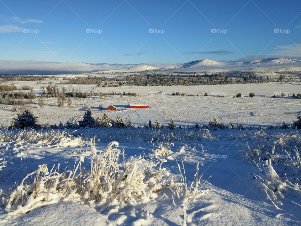 snowy Montana ranch