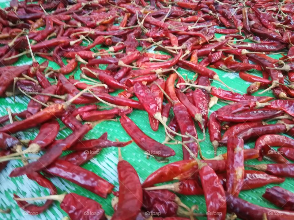 Red Chilli