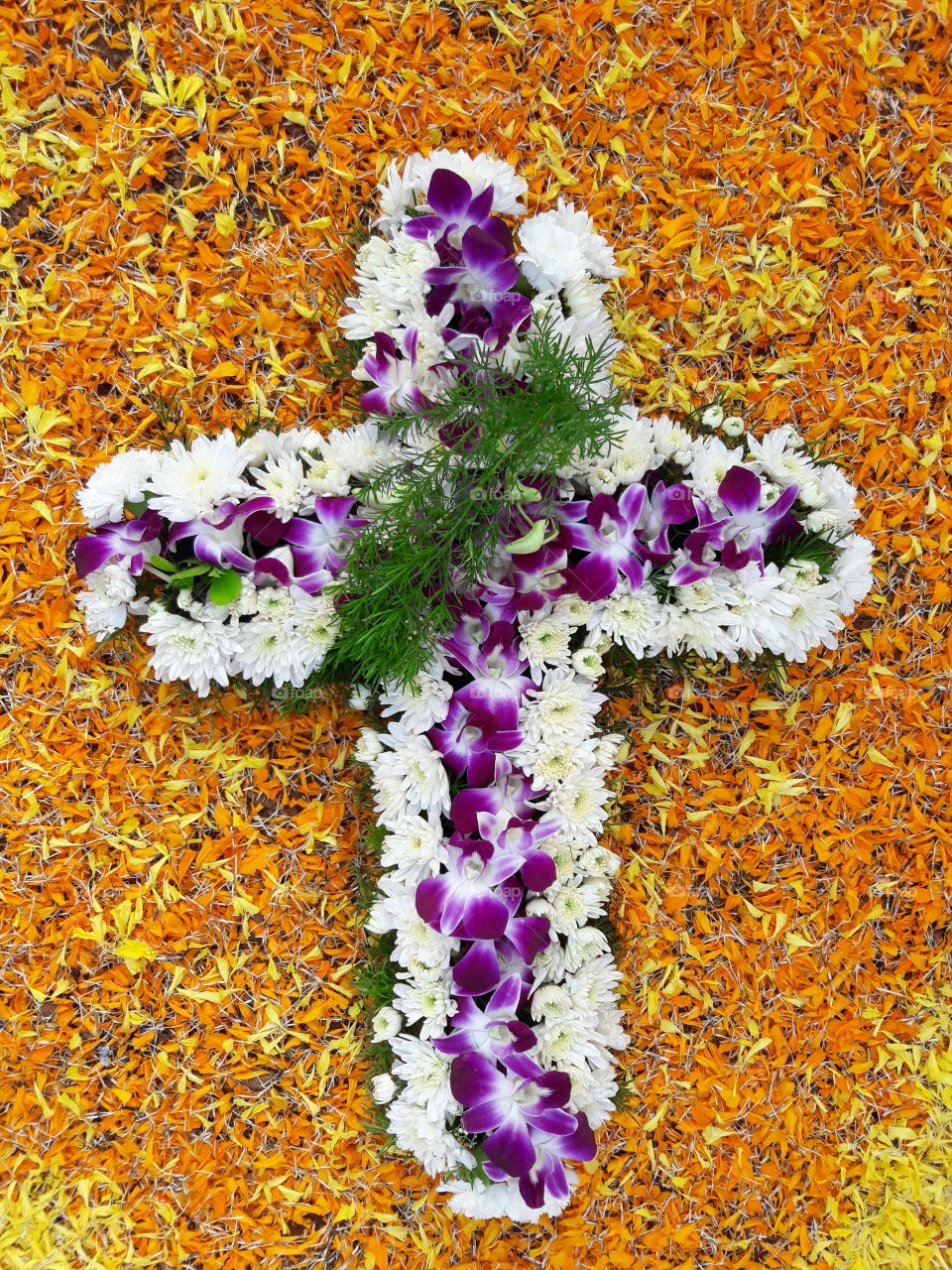bed of orange flower petals topped with orchards n leaves ree