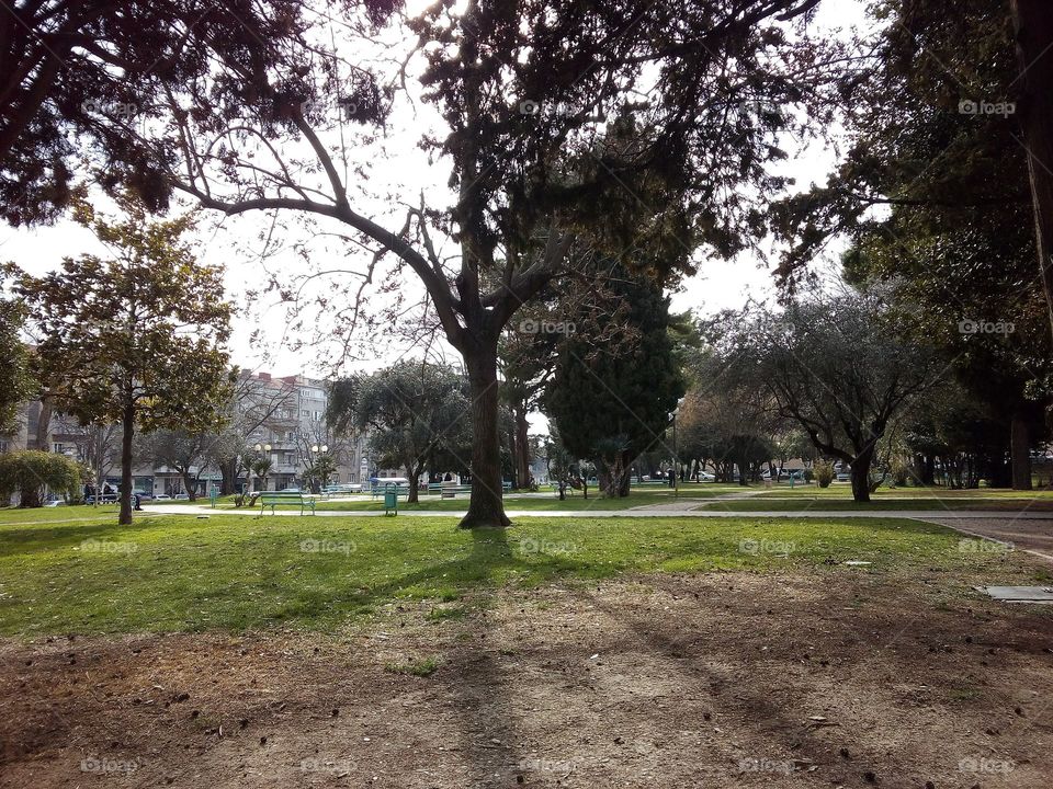 The Park Emanuel Vidovic