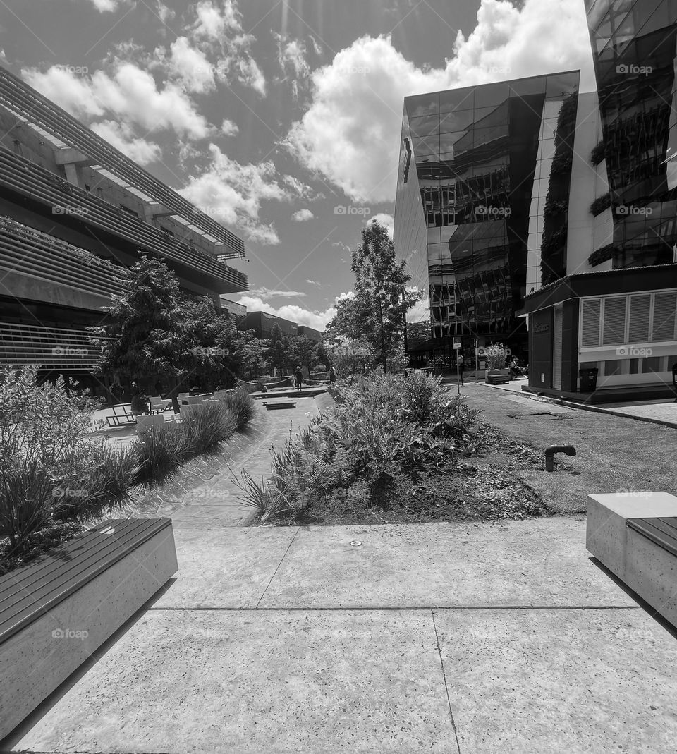 The architecture in the working city