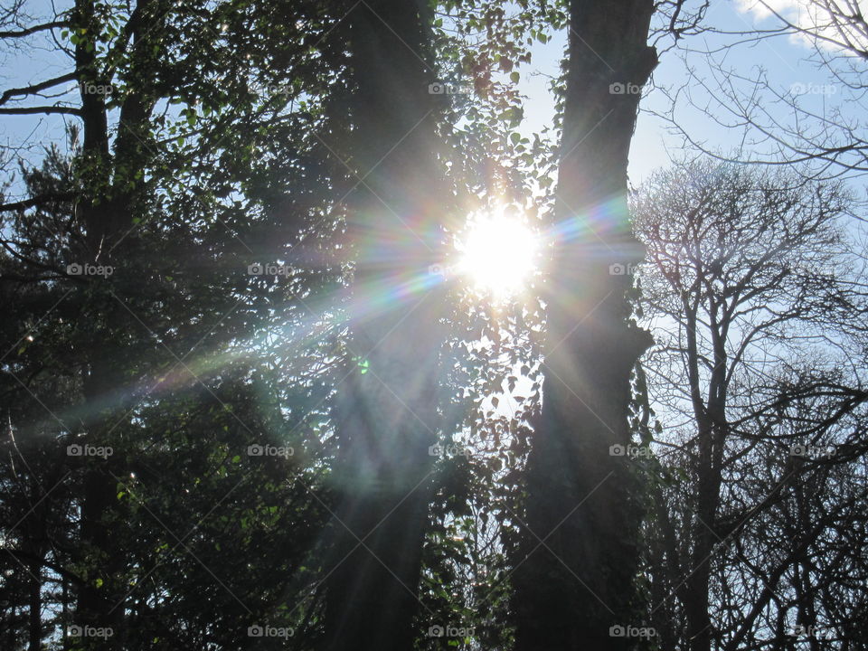 Colourful Sunrays