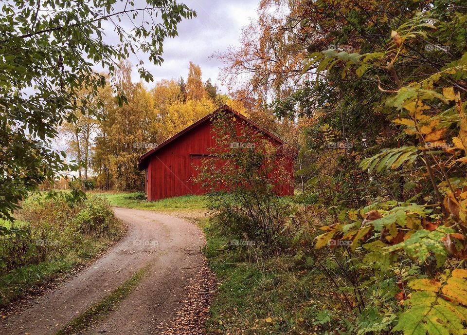 Empty road against house