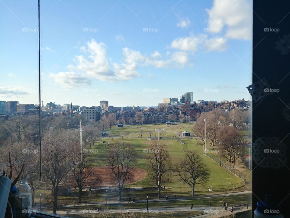 a sunny boston commons
