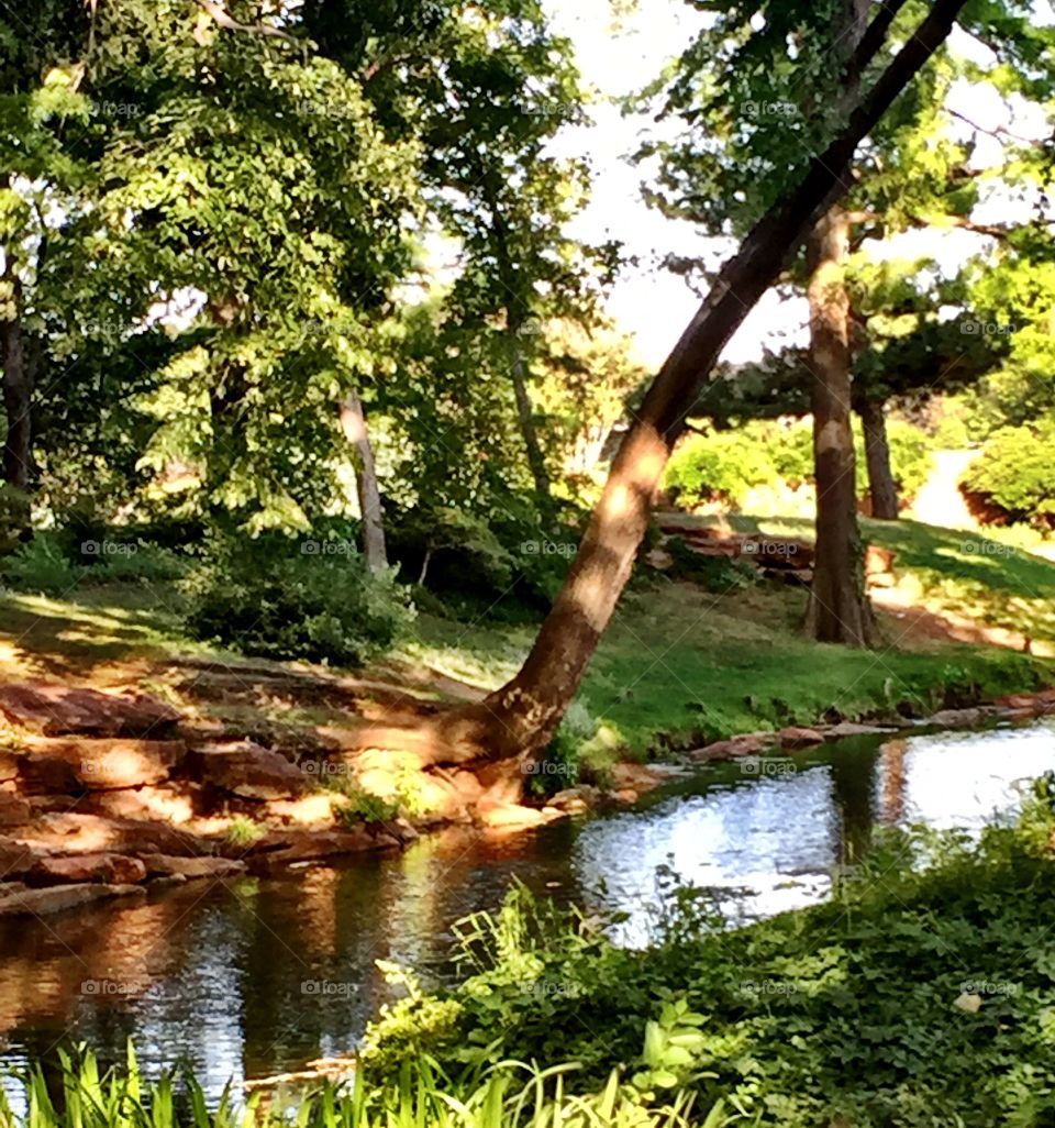 City Park, Will Rogers Park with stream of water amidst the trees! 