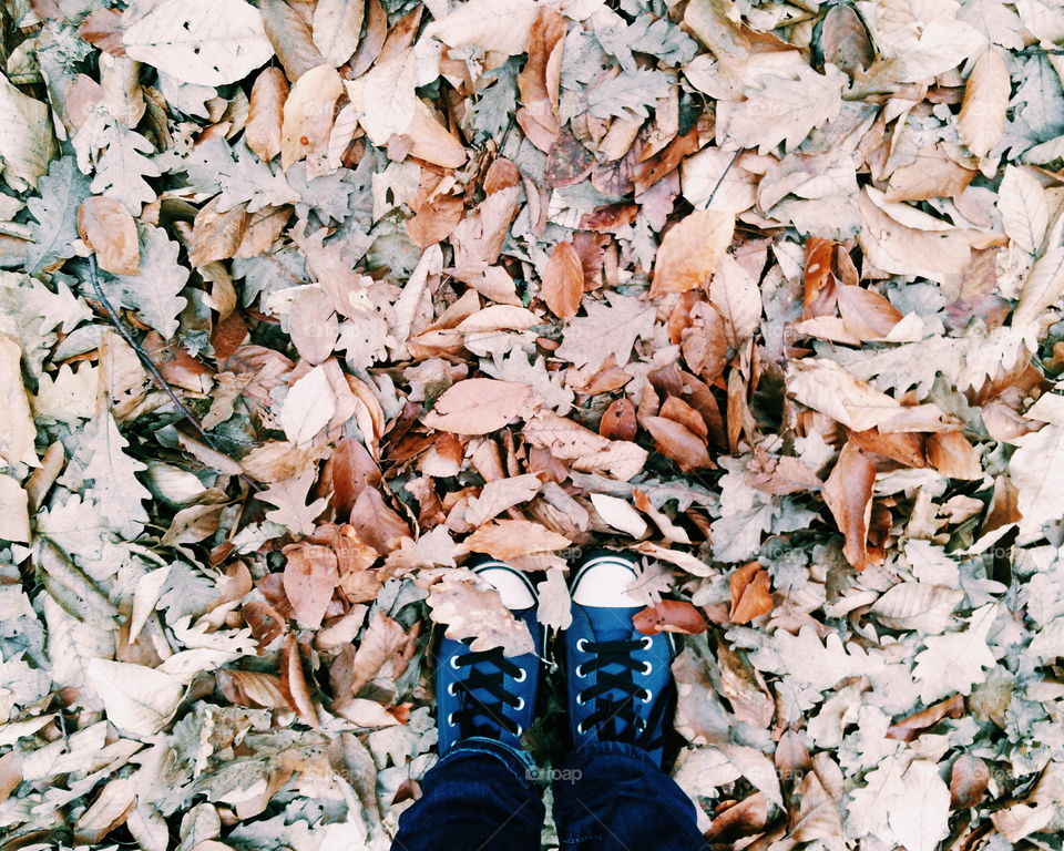 autumn leaves and foots from there I stand