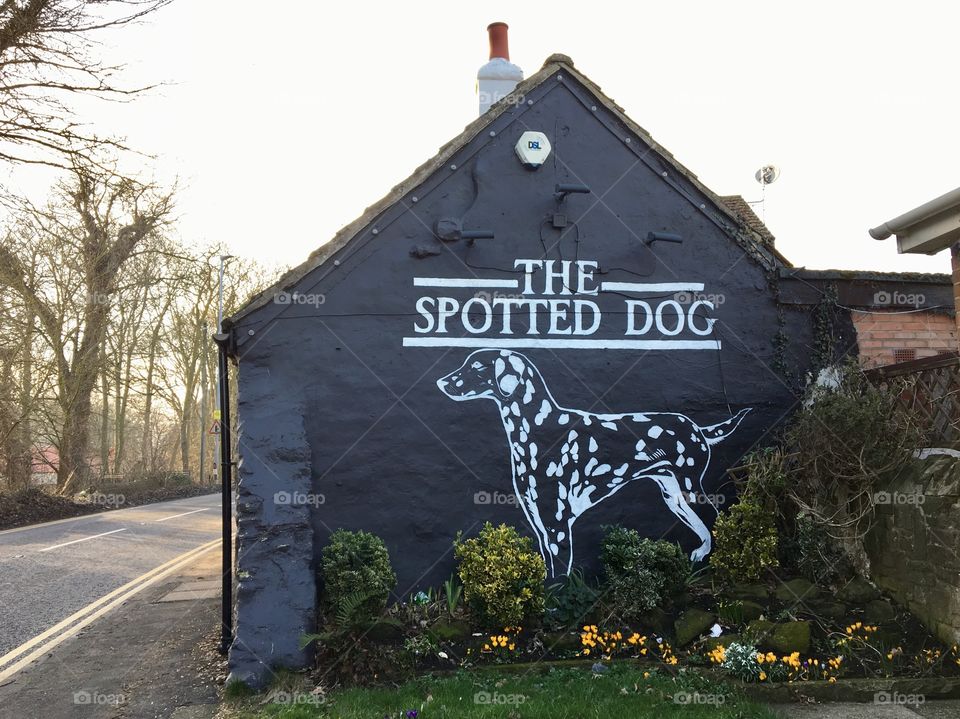 The Spotted Dog .. English Pub .. mural.. art work .. advertising in an arty way 