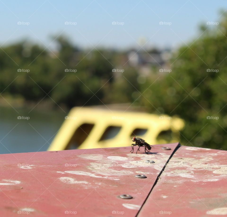Water, Travel, Summer, Nature, Landscape
