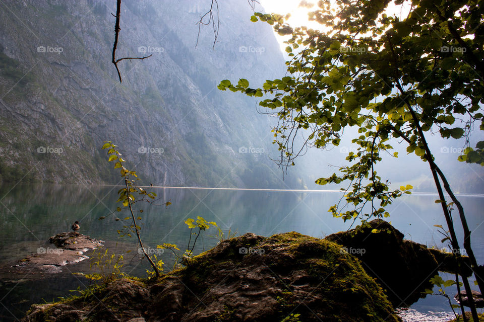 Scenic view of a lake