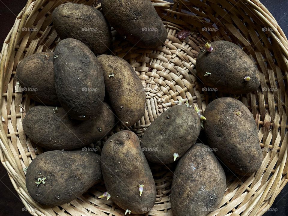 Close-up of a basket with raw potatoes