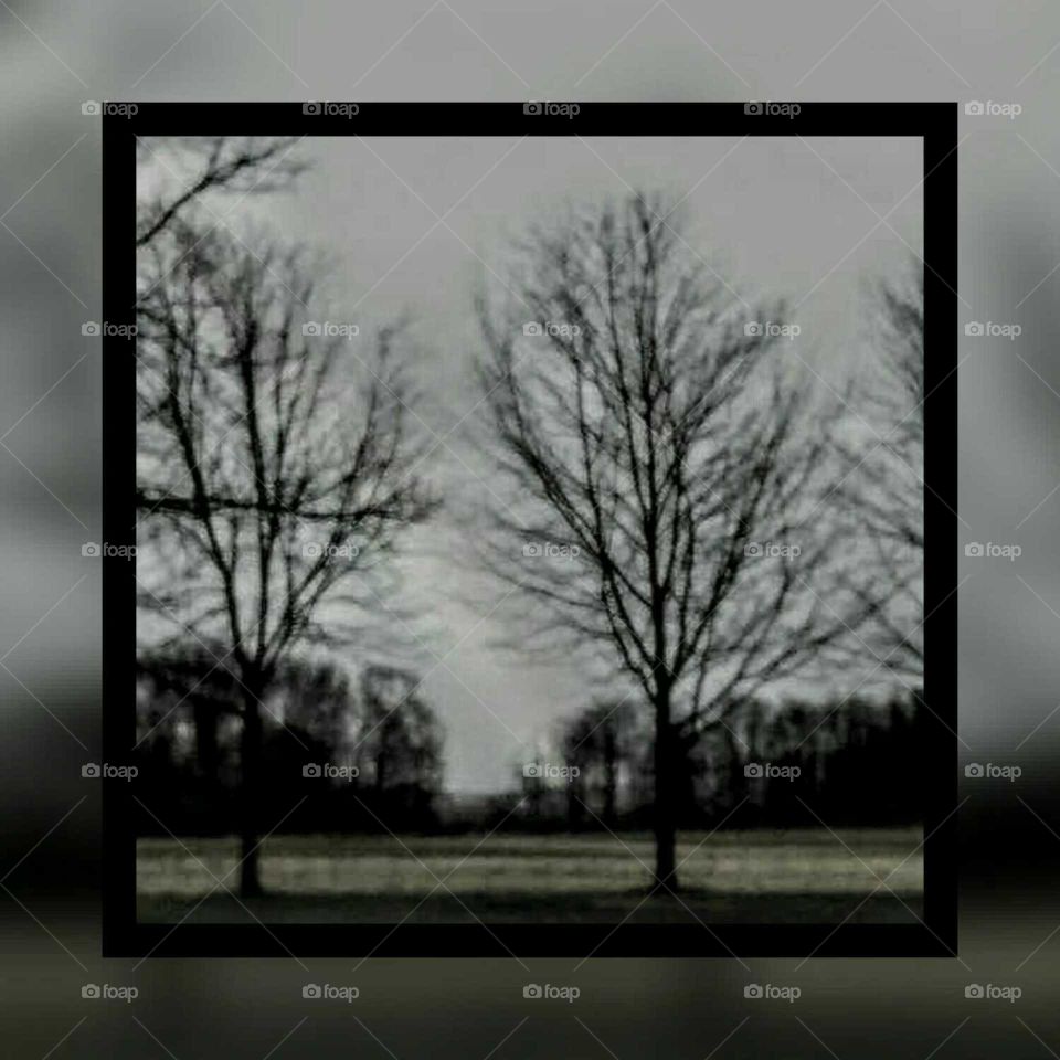 Picture Frame, Blank, Empty, Desktop, Nature