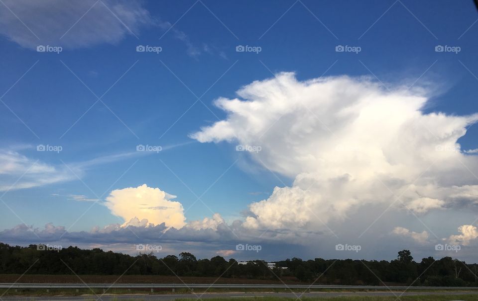 Georgia Sky 