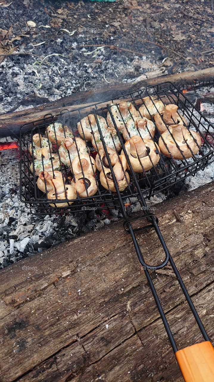 Cooking home, food in nature