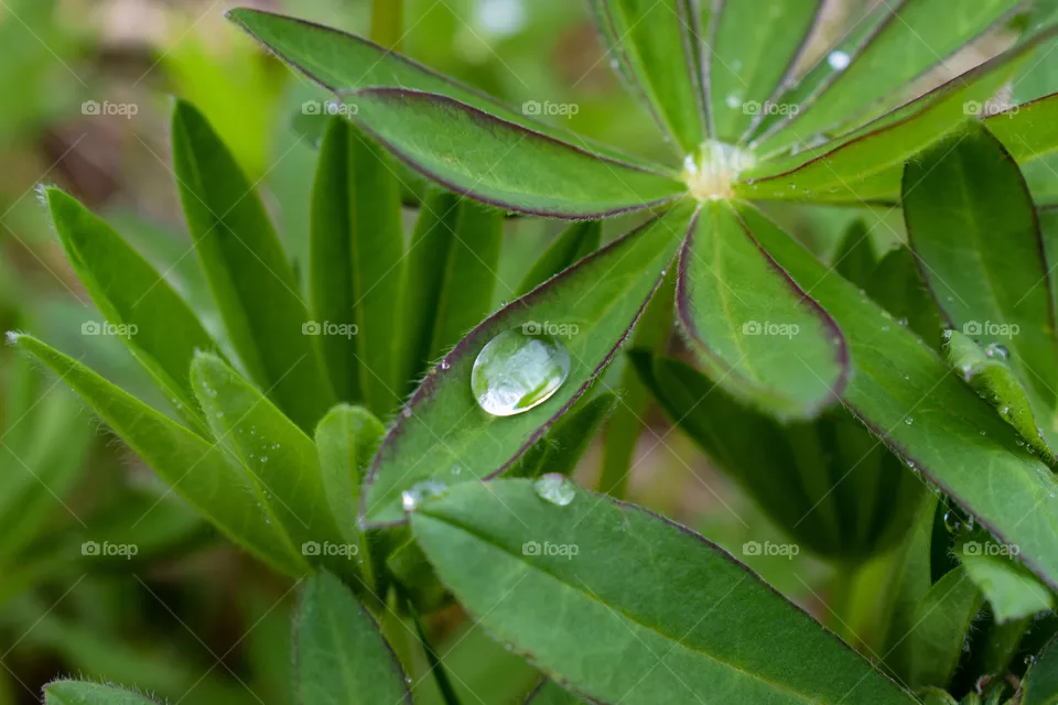 A drop