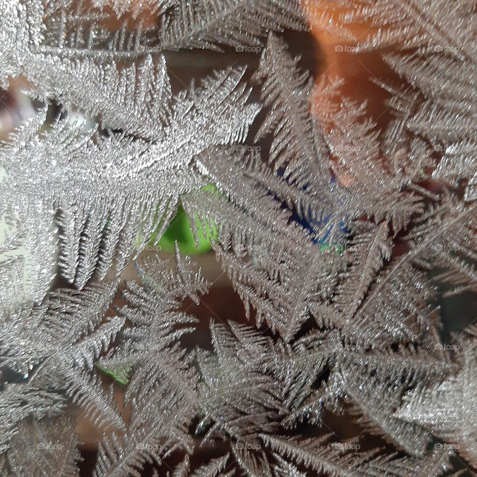 Frosty patterns on the windows