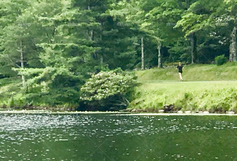 Lake Jogger