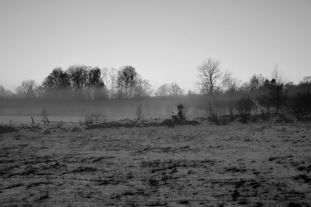 Mist