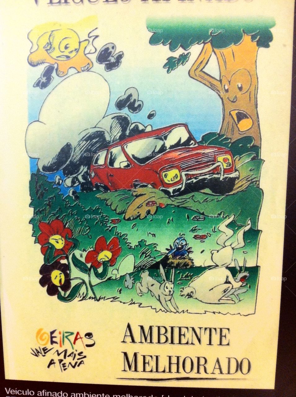 Natureza . Nature and machines