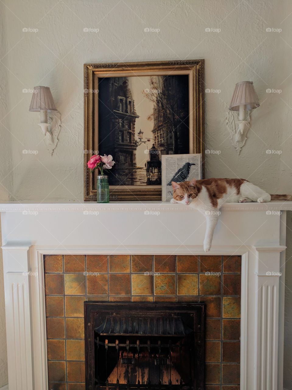 Cat on Fireplace