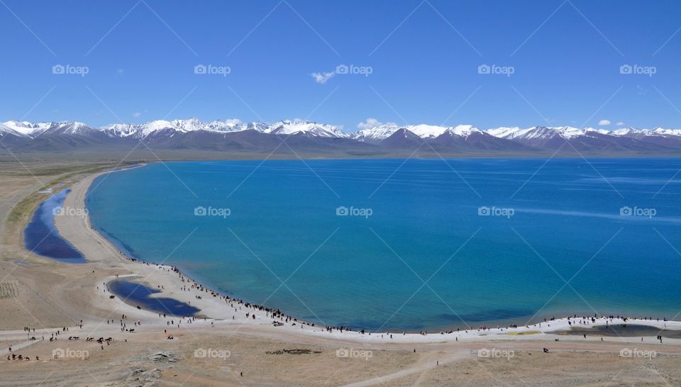 beautiful coast of the namtso in Tibet