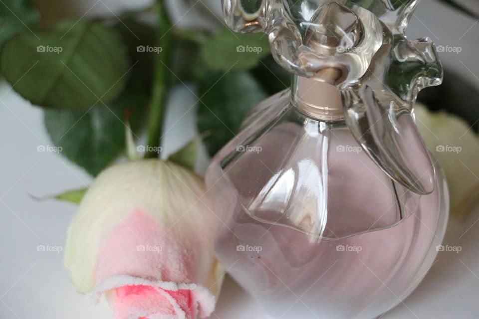 Perfume bottle and pink rose