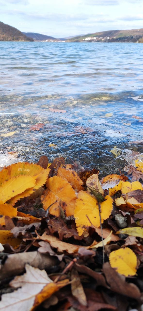 View of the lake from the shore covered with autumn leaves