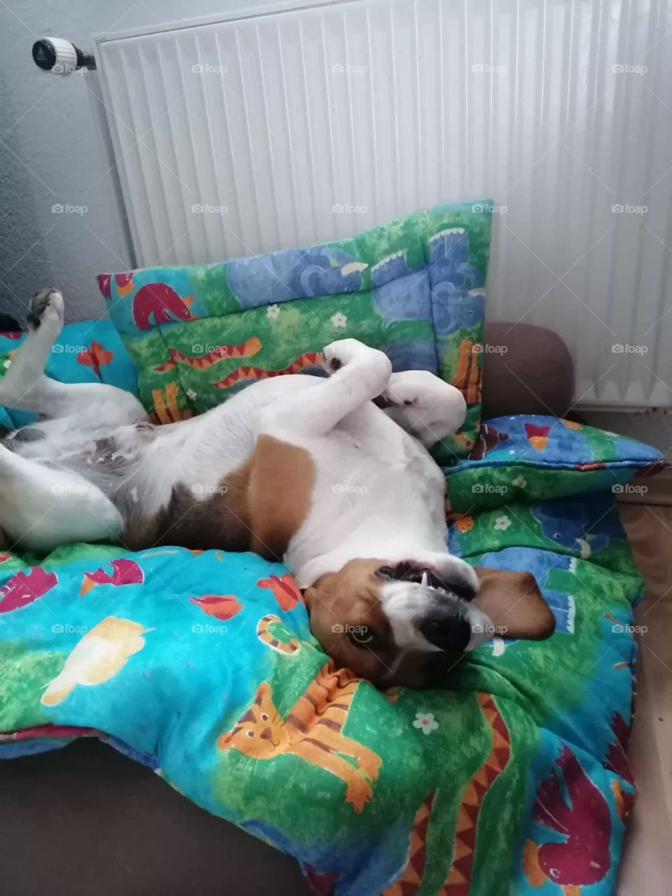 Benno