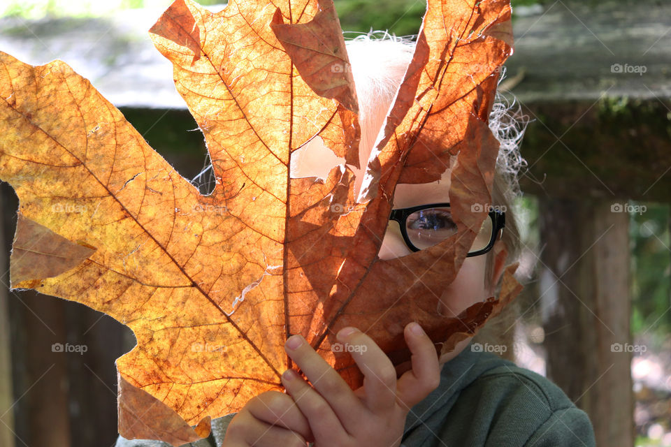 A child holding a bright orange fall leaf