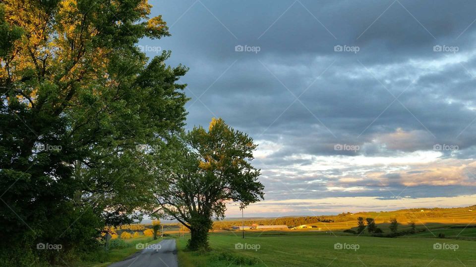 Cast from above. in the moments before sunset when a golden shadow envelopes the word.