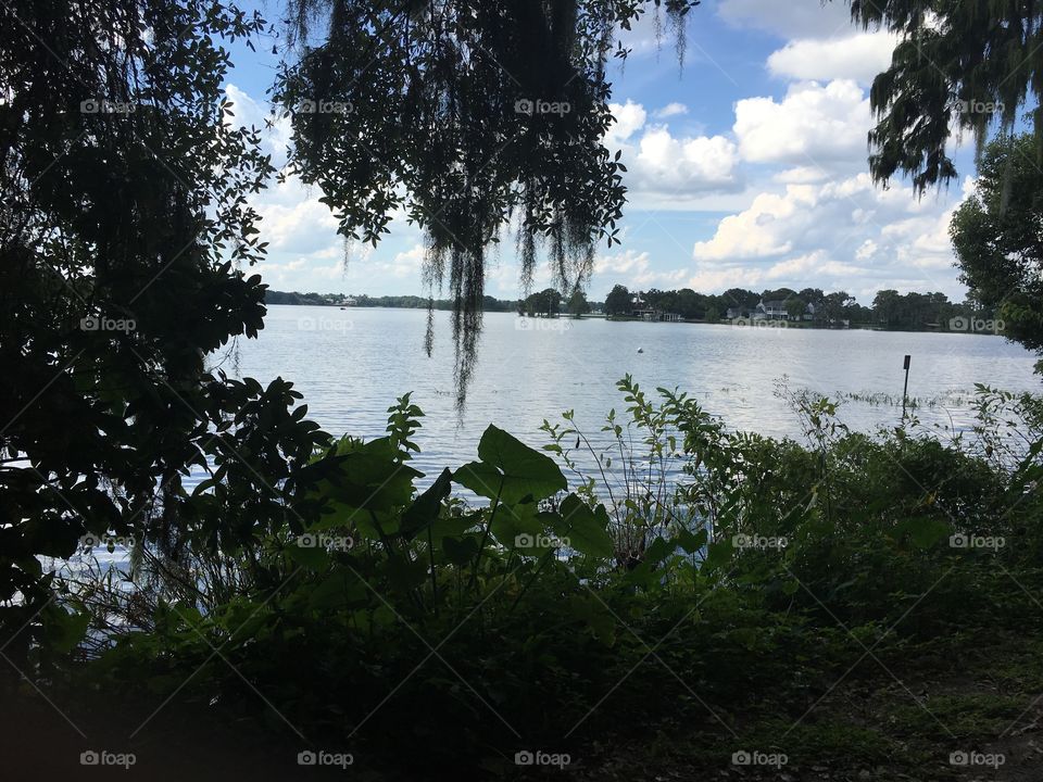 Scenery located in Winter Park, Florida.