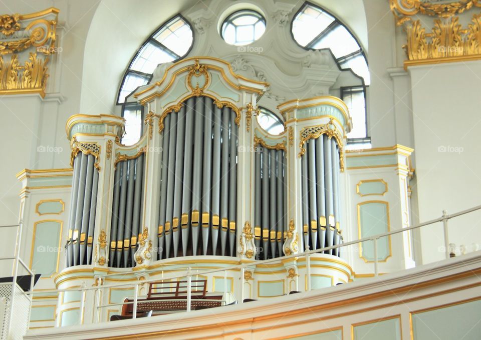 Organ