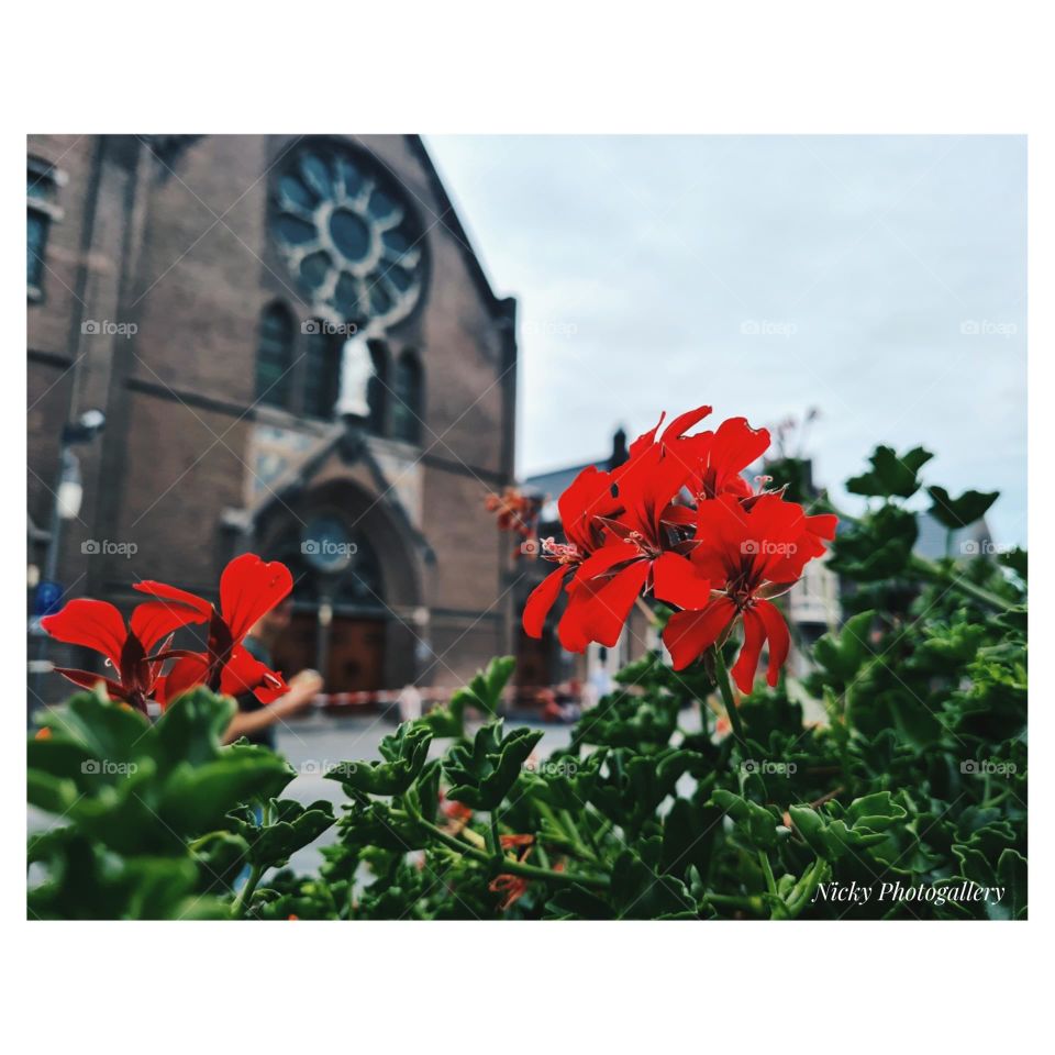 Visit Zeeland, Netherlands ❤️