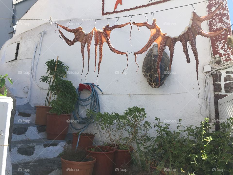 hanging out "the laundry" to dry. 