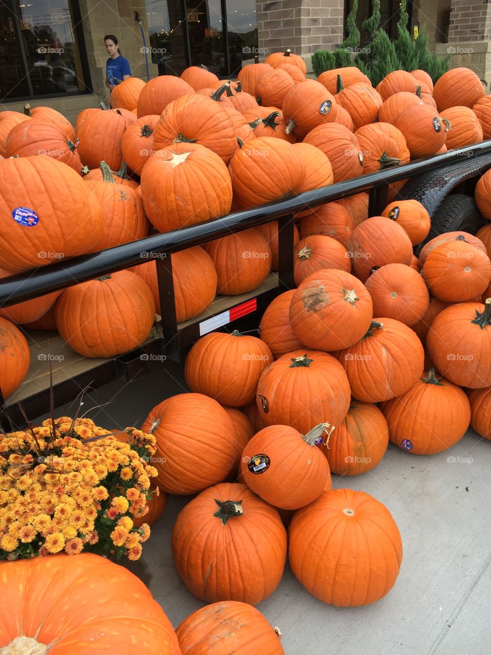 Lots 'O Pumpkins 