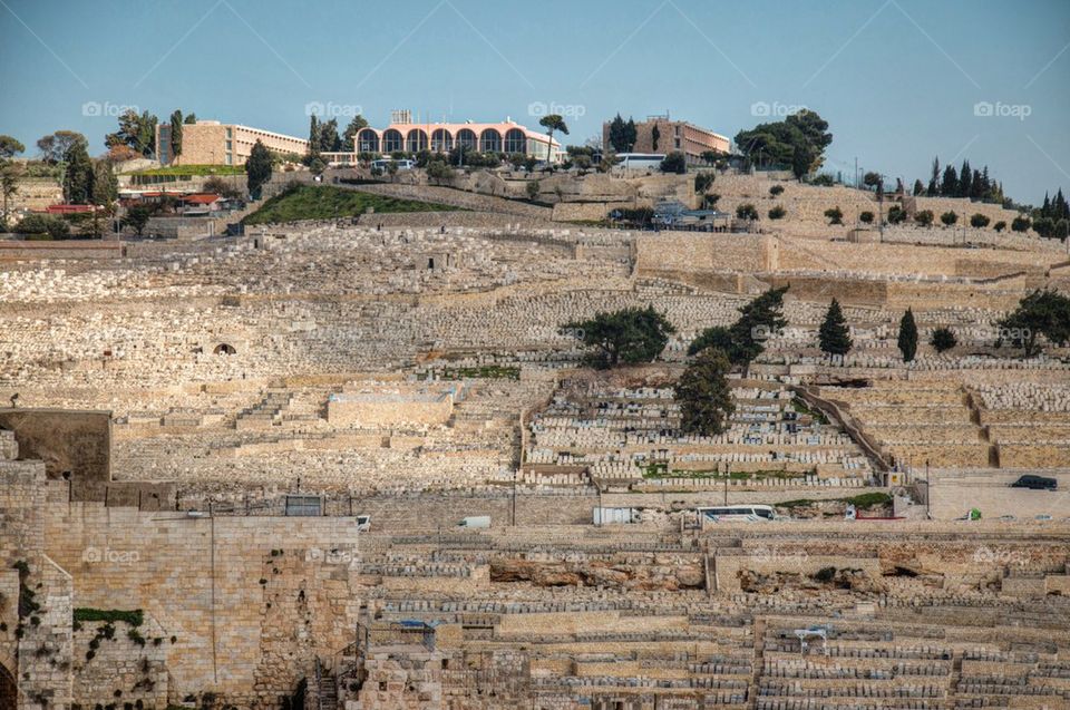 Mount of olives 